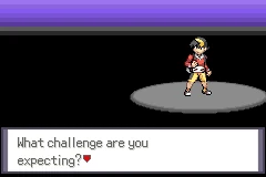 Animated Pokemon Heart & Soul challenge setup menu